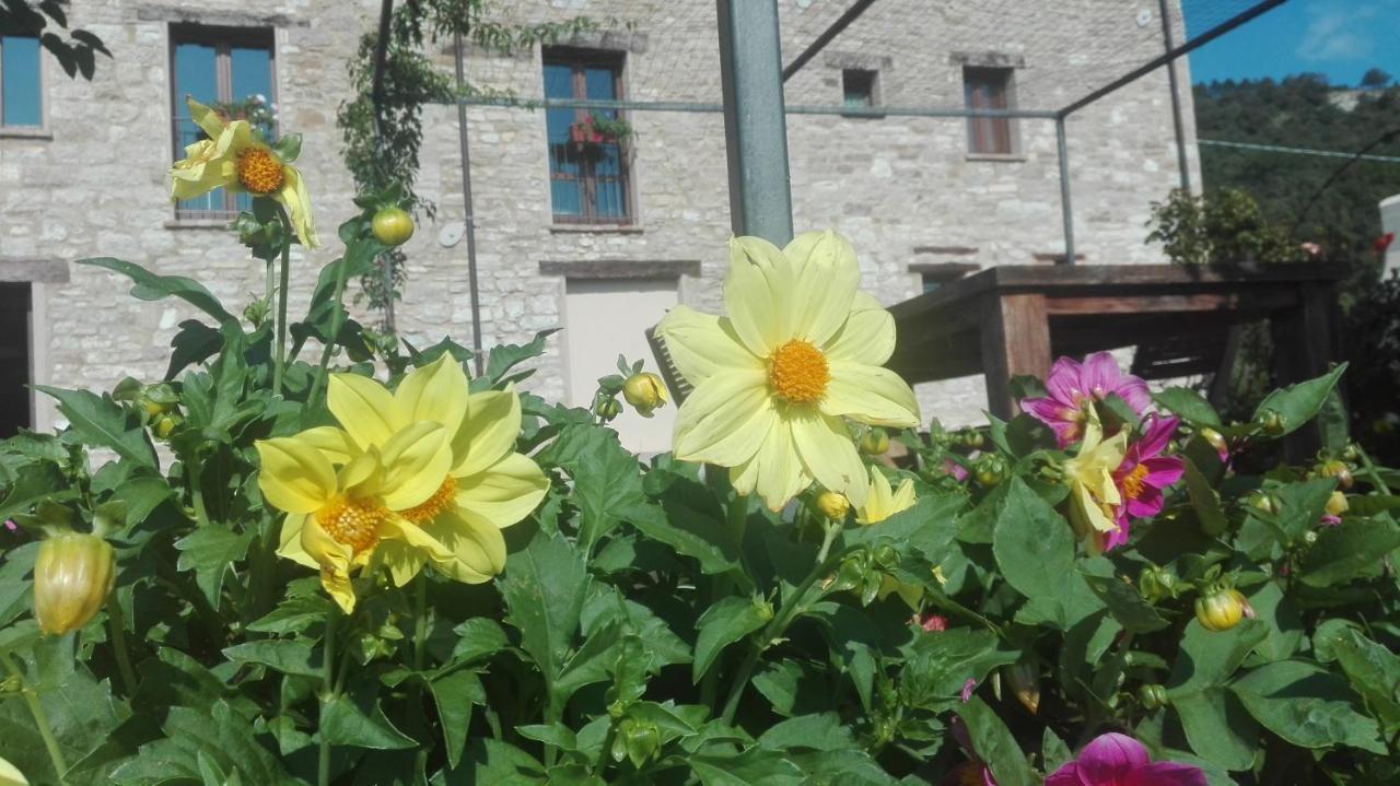 Casale Le Fontanelle Hotel Monte Grimano Terme Buitenkant foto