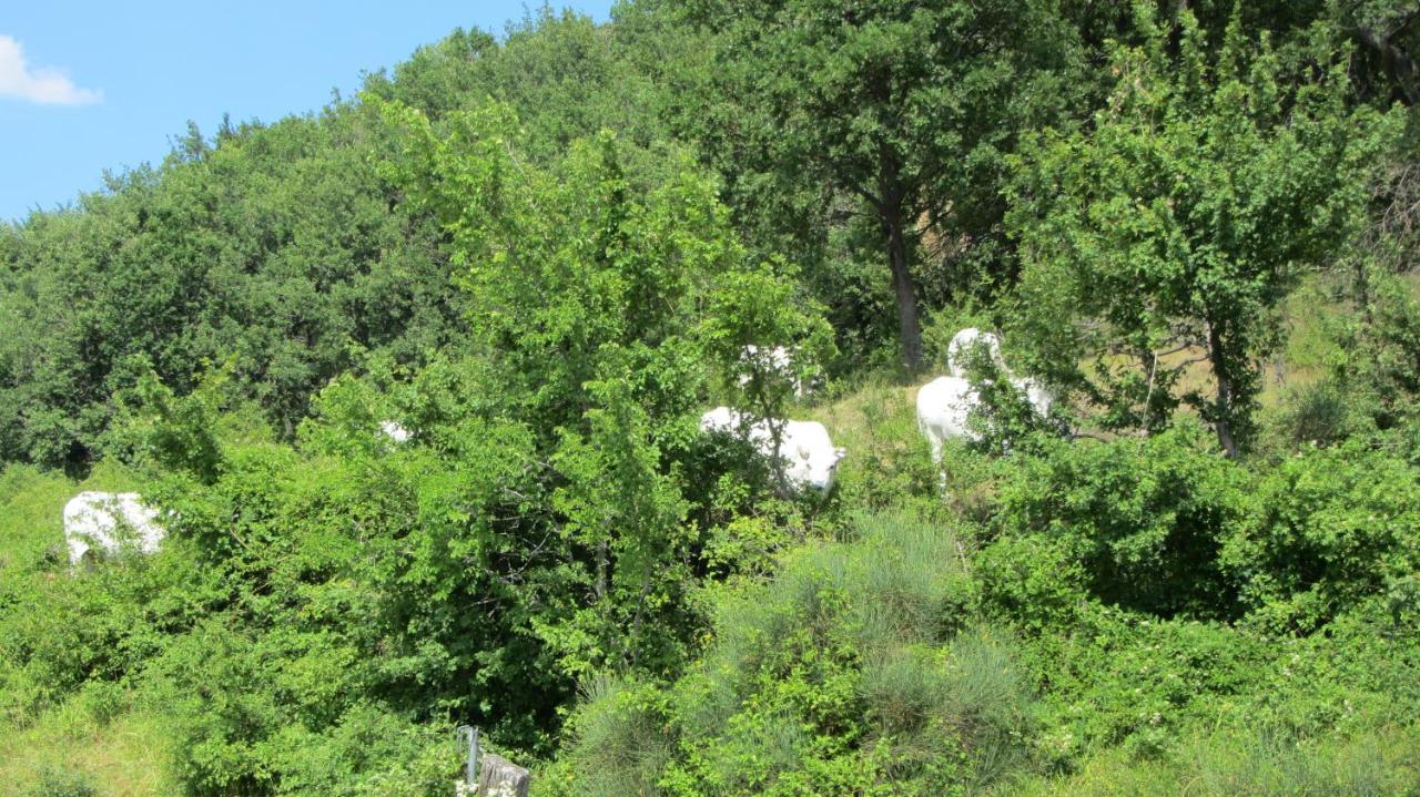 Casale Le Fontanelle Hotel Monte Grimano Terme Buitenkant foto