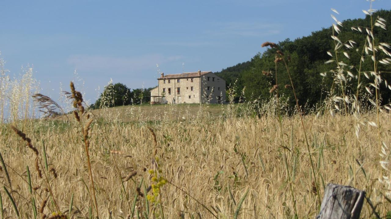 Casale Le Fontanelle Hotel Monte Grimano Terme Buitenkant foto
