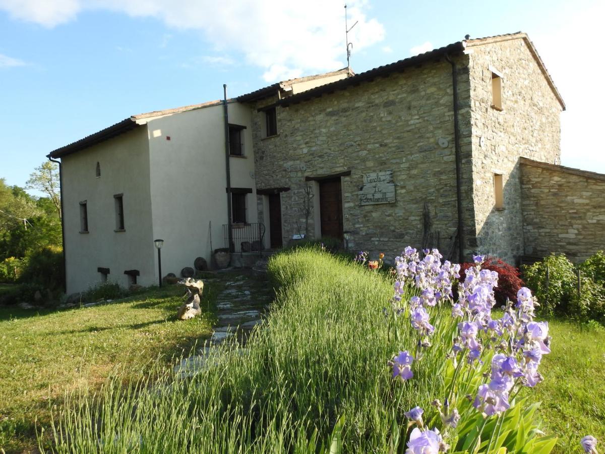 Casale Le Fontanelle Hotel Monte Grimano Terme Buitenkant foto
